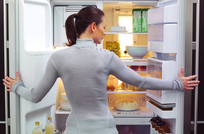 Простые правила эксплуатации холодильника в ДНР